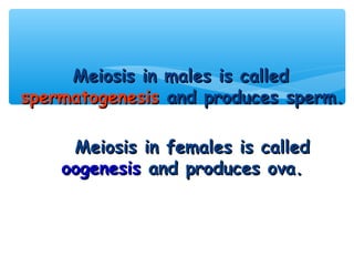 Meiosis in males is called
spermatogenesis and produces sperm.

     Meiosis in females is called
    oogenesis and produces ova.
 