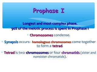 Prophase I

           ∗ Longest and most complex phase.
    ∗ 90% of the meiotic process is spent in Prophase I
               ∗ Chromosomes condense.
∗ Synapsis occurs: homologous chromosomes come together
                     to form a tetrad.
                               tetrad
∗ Tetrad is two chromosomes or four chromatids (sister and
                    nonsister chromatids).
 