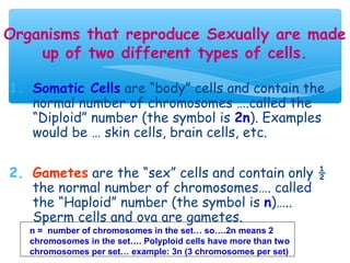 Organisms that reproduce Sexually are made
    up of two different types of cells.

1. Somatic Cells are “body” cells and contain the
   normal number of chromosomes ….called the
   “Diploid” number (the symbol is 2n). Examples
   would be … skin cells, brain cells, etc.

2. Gametes are the “sex” cells and contain only ½
   the normal number of chromosomes…. called
   the “Haploid” number (the symbol is n)…..
   Sperm cells and ova are gametes.
   n = number of chromosomes in the set… so….2n means 2
   chromosomes in the set…. Polyploid cells have more than two
   chromosomes per set… example: 3n (3 chromosomes per set)
 