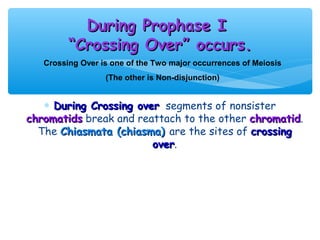 During Prophase I
         “Crossing Over” occurs.
   Crossing Over is one of the Two major occurrences of Meiosis
                  (The other is Non-disjunction)


   ∗ During Crossing over segments of nonsister
chromatids break and reattach to the other chromatid.
                                           chromatid
  The Chiasmata (chiasma) are the sites of crossing
                        over.
                        over
 