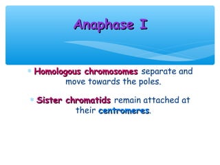Anaphase I


∗ Homologous chromosomes separate and
         move towards the poles.

∗ Sister chromatids remain attached at
           their centromeres.
                 centromeres
 