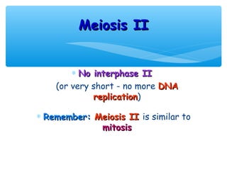 Meiosis II


        ∗ No interphase II
    (or very short - no more DNA
             replication)
              replication

∗ Remember: Meiosis II is similar to
             mitosis
 