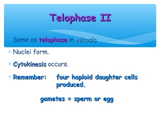 Telophase II

∗ Same as telophase in mitosis.
                       mitosis
∗ Nuclei form.
∗ Cytokinesis occurs.

∗ Remember:       four haploid daughter cells
                  produced.

           gametes = sperm or egg
 