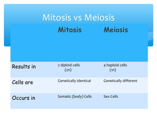 Mitosis vs Meiosis
                Mitosis                 Meiosis




Results in      2 diploid cells         4 haploid cells
                     (2n)                   (1n)


Cells are       Genetically identical   Genetically different



Occurs in       Somatic (body) Cells    Sex Cells
 