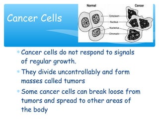 Cancer Cells


  ∗ Cancer cells do not respond to signals
    of regular growth.
  ∗ They divide uncontrollably and form
    masses called tumors
  ∗ Some cancer cells can break loose from
    tumors and spread to other areas of
    the body
 
