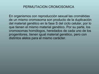 PERMUTACION CROMOSOMICA En organismos con reproducción sexual las cromátidas de un mismo cromosoma son producto de la duplicación del material genético en la fase S del ciclo celular, por lo que tienen el mismo material genético. Por su parte, los cromosomas homólogos, heredados de cada uno de los progenitores, tienen igual material genético, pero con distintos alelos para el mismo carácter.  