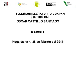 TELEBACHILLERATO  HUILOAPAN 30ETH0310Z  OSCAR CASTILLO SANTIAGO MEIOSIS Nogales, ver.  28 de febrero del 2011 