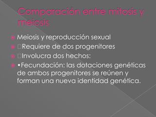 Comparación entre mitosis y meiosisMeiosis y reproducción sexual Requiere de dos progenitores Involucra dos hechos: •Fecundación: las dotaciones genéticas de ambos progenitores se reúnen y forman una nueva identidad genética. 