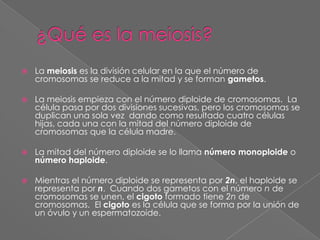 ¿Qué es la meiosis?La meiosis es la división celular en la que el número de cromosomas se reduce a la mitad y se forman gametos.La meiosis empieza con el número diploide de cromosomas.  La célula pasa por dos divisiones sucesivas, pero los cromosomas se duplican una sola vez  dando como resultado cuatro células hijas, cada una con la mitad del número diploide de cromosomas que la célula madre.La mitad del número diploide se lo llama número monoploideo número haploide.Mientras el número diploide se representa por 2n, el haploide se representa por n.  Cuando dos gametos con el número n de cromosomas se unen, el cigoto formado tiene 2n de cromosomas.  El cigotoes la célulaque se forma por la unión de un óvulo y un espermatozoide.