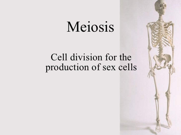 Production of sex cells 1