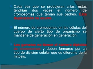 Cada vez que se produjeran crías, éstas tendrían dos veces el número de cromosomas que tenían sus padres.  Esta duplicación no ocurre.   El número de cromosomas en las células del cuerpo de cierto tipo de organismo se mantiene de generación en generación. Los gametos no tienen el número diploide  de cromosomas  y deben formarse por un tipo de división celular que es diferente de la mitosis. 