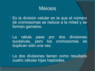 Meiosis Es la división celular en la que el número de cromosomas se reduce a la mitad y se forman gametos.   La célula pasa por dos divisiones sucesivas, pero los cromosomas se duplican sólo una vez.   La dos divisiones tienen como resultado cuatro células hijas haploides.  