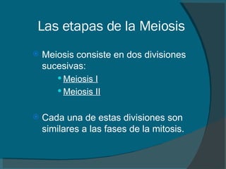 Las etapas de la Meiosis   Meiosis consiste en dos divisiones sucesivas: Meiosis I Meiosis II Cada una de estas divisiones son similares a las fases de la mitosis.  