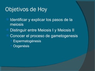 Objetivos de Hoy Identificar y explicar los pasos de la meiosis  Distinguir entre Meiosis I y Meiosis II Conocer el proceso de gametogenesis Espermatogénesis  Oogenésis 