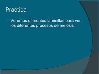 Practica Veremos diferentes laminillas para ver los diferentes procesos de meiosis 