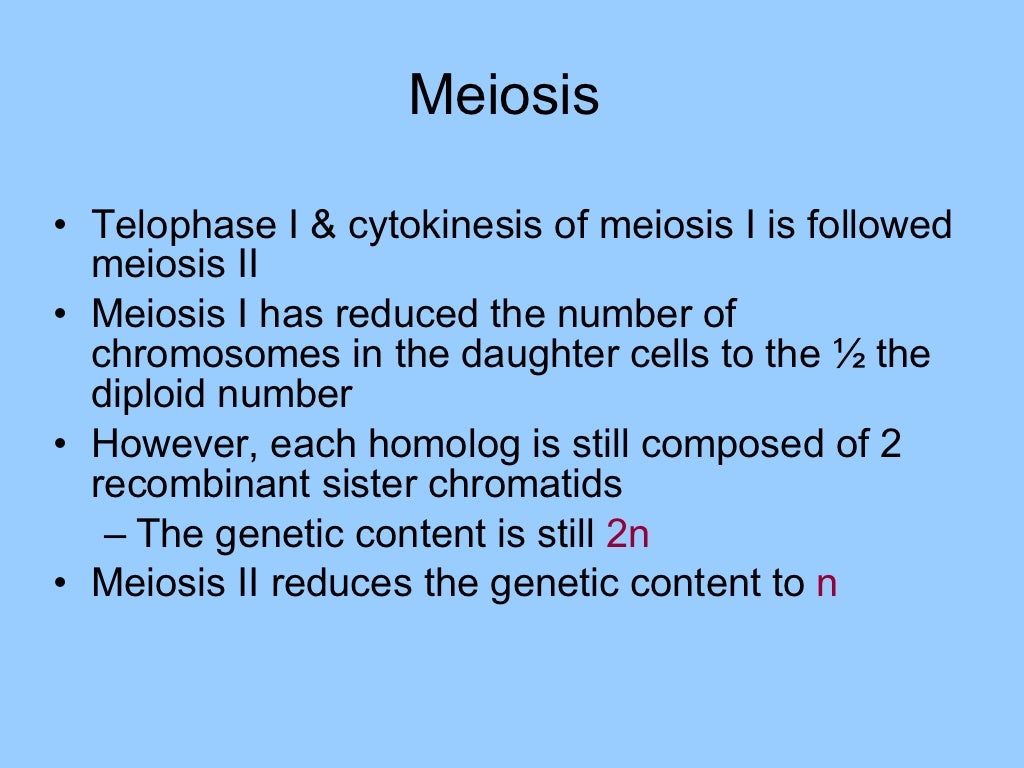 Meiosis Lecture