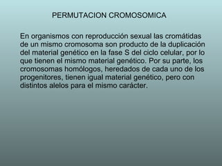 PERMUTACION CROMOSOMICA En organismos con reproducción sexual las cromátidas de un mismo cromosoma son producto de la duplicación del material genético en la fase S del ciclo celular, por lo que tienen el mismo material genético. Por su parte, los cromosomas homólogos, heredados de cada uno de los progenitores, tienen igual material genético, pero con distintos alelos para el mismo carácter.  
