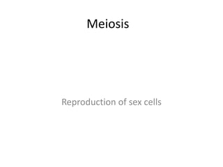 Meiosis




Reproduction of sex cells
 