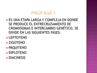 Meiosis | PPTX | Reproductive Health | Diseases and Conditions