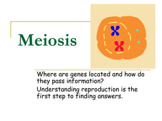 Meiosis
  Where are genes located and how do
  they pass information?
  Understanding reproduction is the
  first step to finding answers.
 