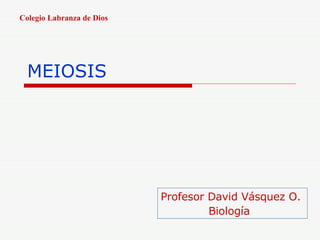 MEIOSIS Profesor David Vásquez O. Biología Colegio Labranza de Dios 