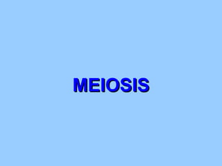 MEIOSIS
 