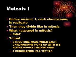 Meiosis I Before meiosis 1, each chromosome is replicate Then they divide like in mitosis What happened in mitosis? PMAT Tetrad STRUCTURE MADE WHEN EACH CHROMOSOME PAIRS UP WITH ITS HOMOLOGOUS CHROMOSOME 4 CHROMATIDS IN A TETRAD 