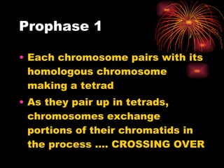 Prophase 1 Each chromosome pairs with its homologous chromosome making a tetrad As they pair up in tetrads, chromosomes exchange portions of their chromatids in the process …. CROSSING OVER 