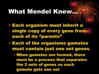 What Mendel Knew… Each organism must inherit a single copy of every gene from each of its “parents” Each of the organisms gametes must contain just one set genes When gametes are formed, there must be a process that separates the 2 sets of genes so each gamete gets one set 
