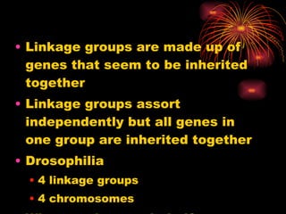 Linkage groups are made up of genes that seem to be inherited together Linkage groups assort independently but all genes in one group are inherited together Drosophilia 4 linkage groups 4 chromosomes What can be concluded? 