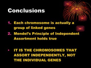 Conclusions Each chromosome is actually a group of linked genes Mendel’s Principle of Independent Assortment holds true IT IS THE CHROMOSOMES THAT ASSORT INDEPENDENTLY, NOT THE INDIVIDUAL GENES 