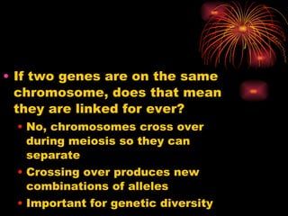 If two genes are on the same chromosome, does that mean they are linked for ever? No, chromosomes cross over during meiosis so they can separate Crossing over produces new combinations of alleles Important for genetic diversity 