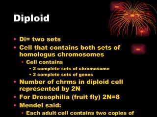 Diploid Di= two sets Cell that contains both sets of homologus chromosomes Cell contains  2 complete sets of chromosome 2 complete sets of genes Number of chrms in diploid cell represented by 2N For Drosophilia (fruit fly) 2N=8 Mendel said: Each adult cell contains two copies of each gene 