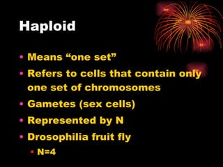 Haploid Means “one set” Refers to cells that contain only one set of chromosomes Gametes (sex cells) Represented by N Drosophilia fruit fly N=4 