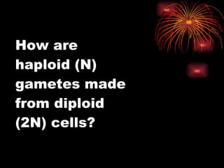 How are haploid (N) gametes made from diploid (2N) cells? 