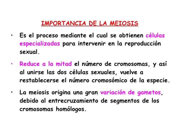 Meiosis