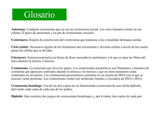 Glosario Autosoma : Cualquier cromosoma que no sea un cromosoma sexual. Los seres humanos tienen en sus células 22 pares de autosomas y un par de cromosomas sexuales. Centrómero : Región de constricción del cromosoma que mantiene a las cromátidas hermanas unidas . Ciclo celular : Secuencia regular de los fenómenos del crecimiento y división celular a través de los cuales pasan las células que se dividen. Cinetocoro : Estructura proteica en forma de disco asociada al centrómero, a la que se unen las fibras del huso durante la mitosis o meiosis. Cromosoma : La estructura que lleva los genes. Los cromosomas eucarióticos son filamentos o bastones de cromatina que aparecen contraídos durante la mitosis y la meiosis y que en otros momentos están contenidos en un núcleo. Los cromosomas procarióticos consisten en un círculo de DNA con el que se asocian varias proteínas. Los cromosomas virales son moléculas lineales o circulares de DNA o RNA. Cromosoma homólogo : Una de las dos copias de un determinado cromosoma de una célula diploide, derivando cada copia de cada uno de los padres. Diploide : Que contiene dos juegos de cromosomas homólogos y, por lo tanto, dos copias de cada gen 
