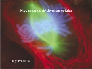 Reproducción sexual Profesor: Hugo Peñailillo Mecanismos de división celular Hugo Peñailillo 