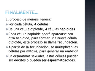 El proceso de meiosis genera:
 Por cada célula, 4 células;
 De una célula diploide, 4 células haploides
 Cada célula haploide podrá aparearse con
otra haploide, para formar una nueva célula
diploide, este proceso se llama fecundación.
 A partir de la fecundación, se multiplican las
células por mitosis, para generar un embrión
 En organismos sexuales, estas células pueden
ser oocitos o pueden ser espermatozoides.
 