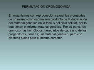 PERMUTACION CROMOSOMICA
En organismos con reproducción sexual las cromátidas
de un mismo cromosoma son producto de la duplicación
del material genético en la fase S del ciclo celular, por lo
que tienen el mismo material genético. Por su parte, los
cromosomas homólogos, heredados de cada uno de los
progenitores, tienen igual material genético, pero con
distintos alelos para el mismo carácter.

 