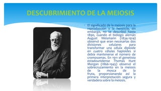 DESCUBRIMIENTO DE LA MEIOSIS
El significado de la meiosis para la
reproducción y la herencia, sin
embargo, no se describió hasta
1890, cuando el biólogo alemán
August Weismann (1834-1914)
observó que eran necesarias dos
divisiones
celulares
para
transformar una célula diploide
en cuatro células haploides si
debía mantenerse el número de
cromosomas. En 1911 el genetista
estadounidense Thomas Hunt
Morgan (1866-1945) observó el
sobrecruzamiento en la meiosis
de
la
mosca
de
la
fruta, proporcionando así la
primera interpretación segura y
verdadera sobre la meiosis.

 