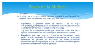 Fases de la Meiosis
Profase I:
La Profase I de la primera división meiótica es la etapa más compleja del
proceso y a su vez se divide en 5 subetapas, que son:
1.

2.
3.

Leptoteno: la primera etapa de Profase I es la etapa
delleptoteno, durante la cual los cromosomas individuales comienzan
a condensar en filamentos largos dentro del núcleo
Zigoteno: los cromosomas homólogos comienzan a acercarse hasta
quedar recombinados en toda su longitud mediante una sipnasis.
Paquiteno: una vez que los cromosomas homólogos están
perfectamente apareados formando estructuras que se denominan
bivalentes se produce el fenómeno de entrecruzamiento
cromosómico (crossing-over) en el cual las cromátidas homólogas no
hermanas intercambian material genético

 