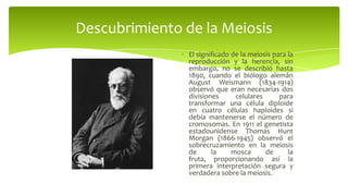 Descubrimiento de la Meiosis
El significado de la meiosis para la
reproducción y la herencia, sin
embargo, no se describió hasta
1890, cuando el biólogo alemán
August Weismann (1834-1914)
observó que eran necesarias dos
divisiones
celulares
para
transformar una célula diploide
en cuatro células haploides si
debía mantenerse el número de
cromosomas. En 1911 el genetista
estadounidense Thomas Hunt
Morgan (1866-1945) observó el
sobrecruzamiento en la meiosis
de
la
mosca
de
la
fruta, proporcionando así la
primera interpretación segura y
verdadera sobre la meiosis.

 