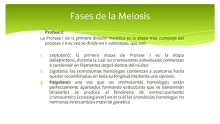 Fases de la Meiosis
Profase I:
La Profase I de la primera división meiótica es la etapa más compleja del
proceso y a su vez se divide en 5 subetapas, que son:
1.

2.
3.

Leptoteno: la primera etapa de Profase I es la etapa
delleptoteno, durante la cual los cromosomas individuales comienzan
a condensar en filamentos largos dentro del núcleo
Zigoteno: los cromosomas homólogos comienzan a acercarse hasta
quedar recombinados en toda su longitud mediante una sipnasis.
Paquiteno: una vez que los cromosomas homólogos están
perfectamente apareados formando estructuras que se denominan
bivalentes se produce el fenómeno de entrecruzamiento
cromosómico (crossing-over) en el cual las cromátidas homólogas no
hermanas intercambian material genético

 
