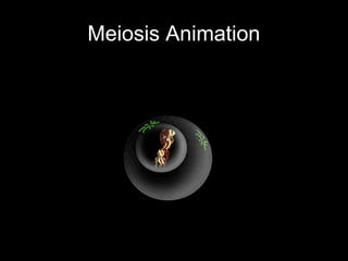 Meiosis Animation
• http://www.biology.arizona.edu/cell_bio/tut
orials/meiosis/page3.html

 