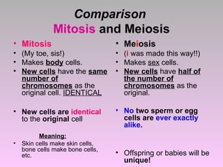 Comparison
Mitosis and Meiosis
• Mitosis

• Meiosis

• (My toe, sis!)
• Makes body cells.
• New cells have the same
number of
chromosomes as the
original cell. IDENTICAL

• (i was made this way!!)
• Makes sex cells.
• New cells have half of
the number of
chromosomes as the
original.

• New cells are identical
to the original cell

• No two sperm or egg
cells are ever exactly
alike.

•

Meaning:
Skin cells make skin cells,
bone cells make bone cells,
etc.

• Offspring or babies will be
unique!

 