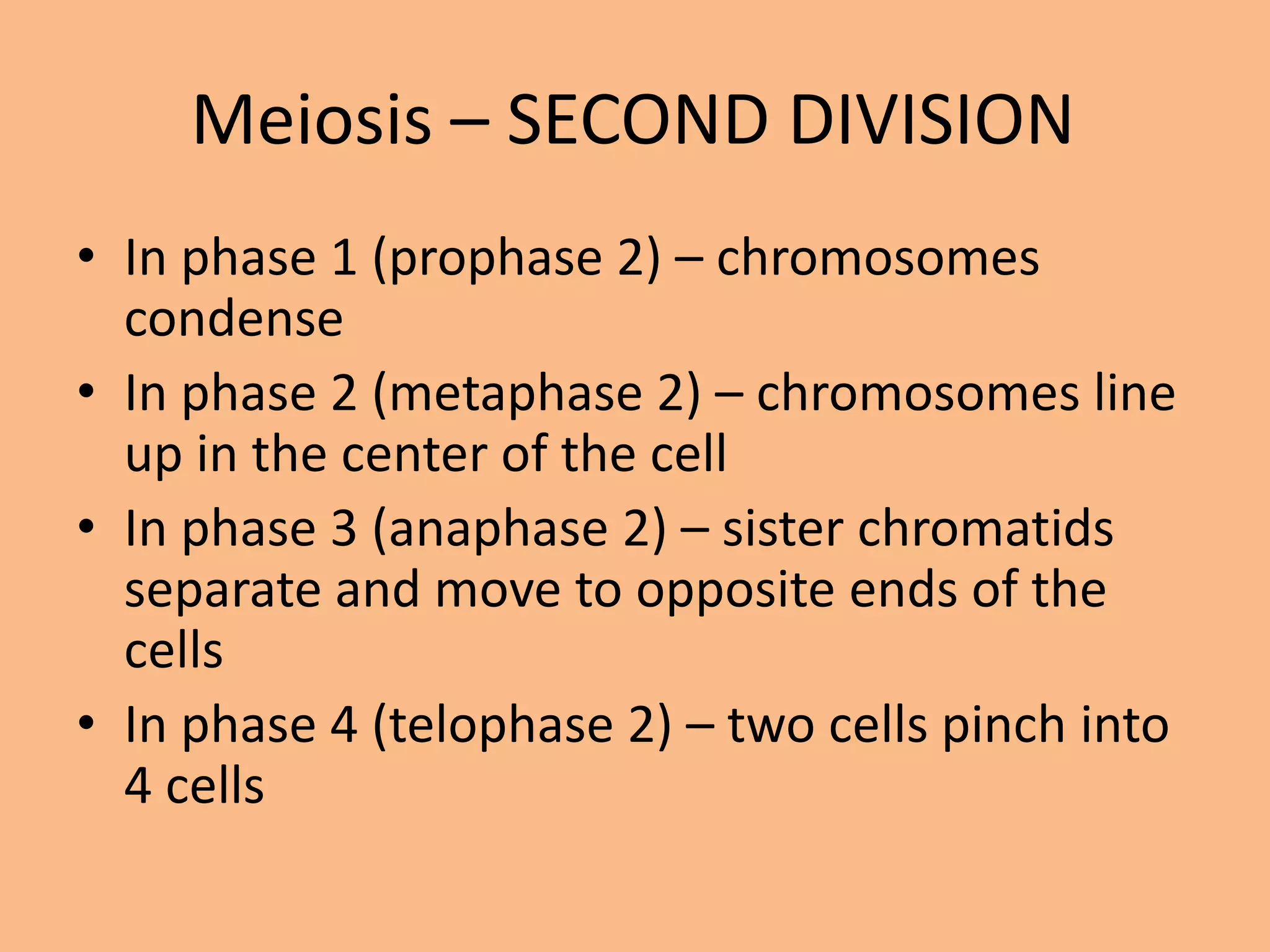 Meiosis – SECOND DIVISION
• In phase 1 (prophase 2) – chromosomes
condense
• In phase 2 (metaphase 2) – chromosomes line
up in the center of the cell
• In phase 3 (anaphase 2) – sister chromatids
separate and move to opposite ends of the
cells
• In phase 4 (telophase 2) – two cells pinch into
4 cells
 