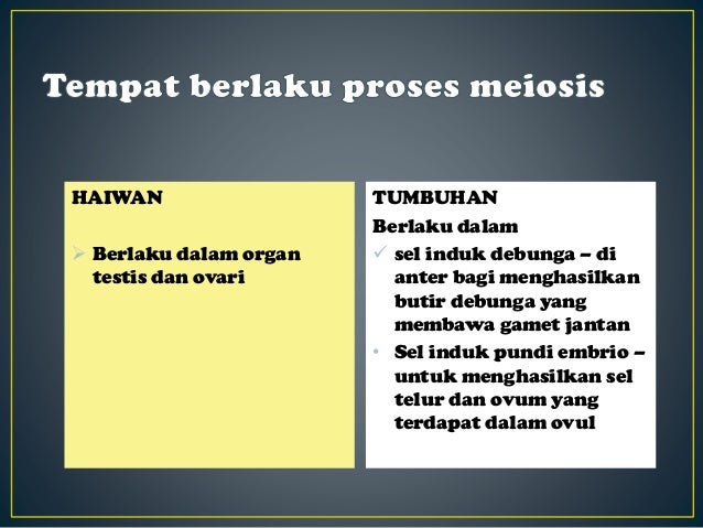 5 2 Meiosis Pembahagian Sel