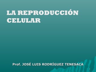 Prof. JOSÉ LUIS RODRÍGUEZ TENESACAProf. JOSÉ LUIS RODRÍGUEZ TENESACA
11
LA REPRODUCCIÓN
CELULAR
 