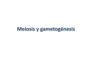 Meiosis y gametogénesis 
 
